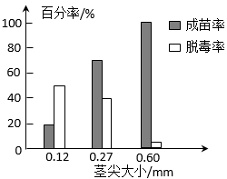 科研人员研究了马铃薯茎尖外植体大小对幼苗的成苗率和脱毒率的影响