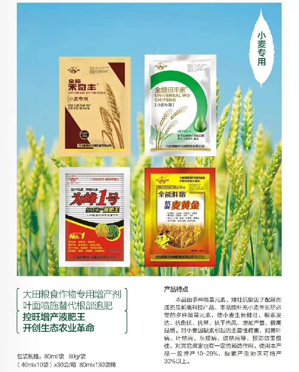安徽宿州全能胖墩麦黄金
