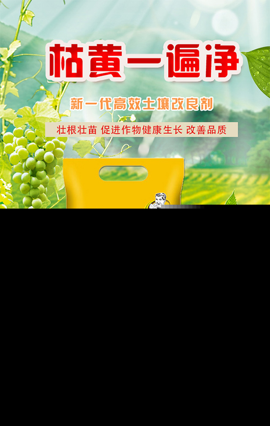 作物死苗烂根现象多,该怎么防治?死苗烂根快速解决方案!