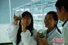 中国花博会生物科技园开园 将成国内顶级苗朩基因工厂(组图)【1】-新闻频道-手机